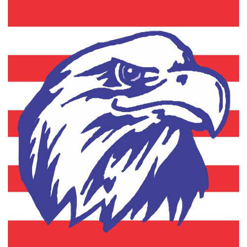 USA Logo 01 vinyl decal